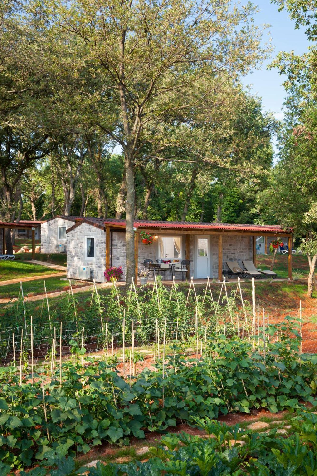 Aminess Planet Camping Holiday Homes Maravea Mareda Szoba fotó